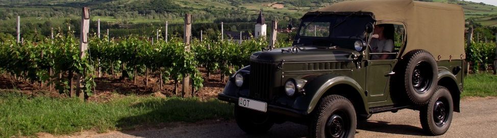 Panorama to the vineyards